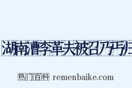 湖南漕李革夫被召乃丐归是什么意思的图片